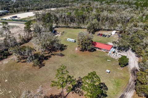 Commercial property in Bronson, Florida № 1562747 - photo 10