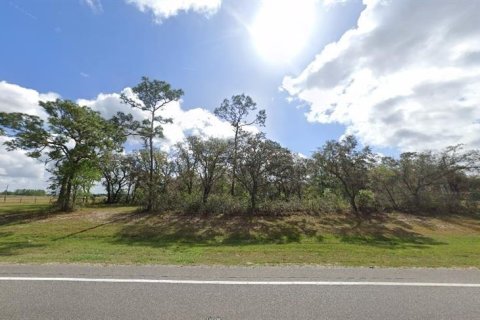Terrain à vendre à Polk City, Floride № 2162229 - photo 3