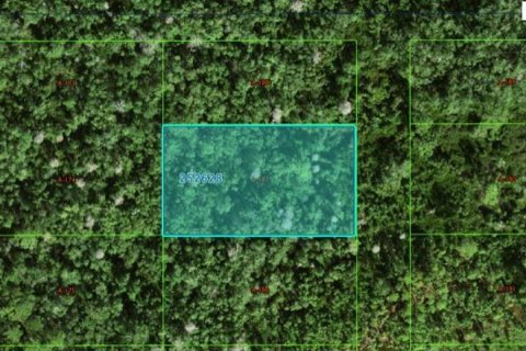 Terrain à Polk City, Floride № 2162229