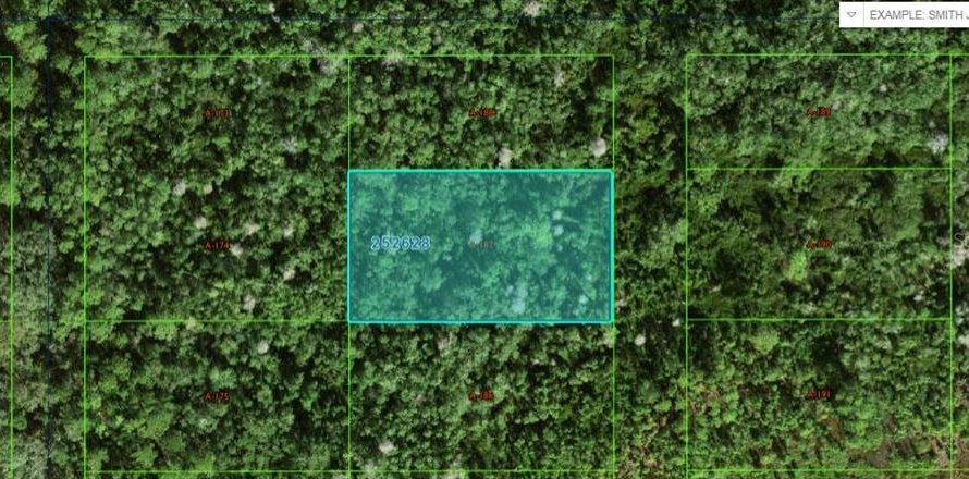 Terrain à Polk City, Floride № 2162229