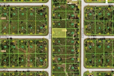 Land in Port Charlotte, Florida № 2159951