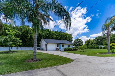 Immobilier commercial à vendre à Mount Dora, Floride: 11 chambres, 510.87 m2 № 1750515 - photo 10