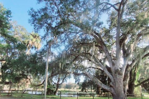 Copropriété à louer à Inverness, Floride: 2 chambres, 89.09 m2 № 2118130 - photo 29