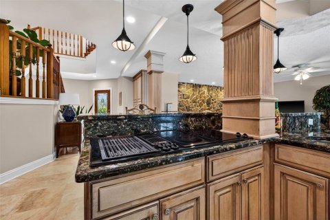 Casa en venta en Tierra Verde, Florida, 4 dormitorios, 276.01 m2 № 2152161 - foto 12