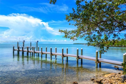 House in Islamorada, Village of Islands, Florida 7 bedrooms, 548.12 sq.m. № 1845431 - photo 4