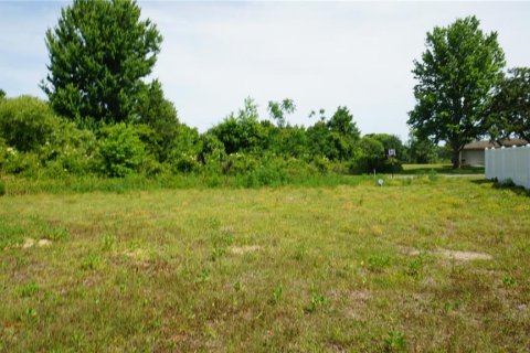 Land in Howey-in-the-Hills, Florida № 2142831 - photo 4