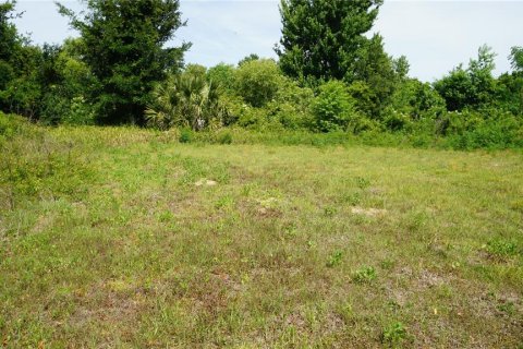 Land in Howey-in-the-Hills, Florida № 2142831