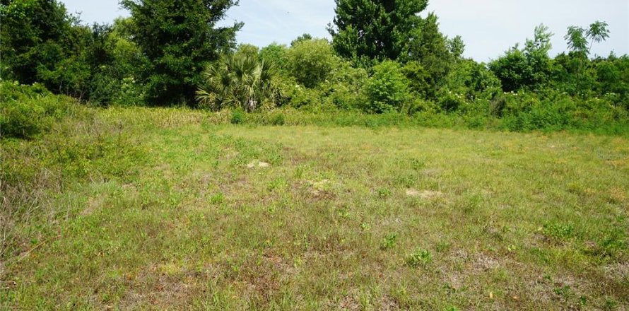 Land in Howey-in-the-Hills, Florida № 2142831