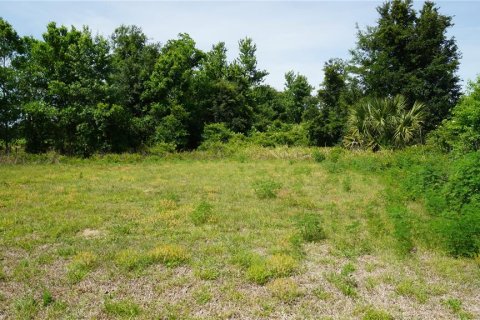 Land in Howey-in-the-Hills, Florida № 2142831 - photo 8