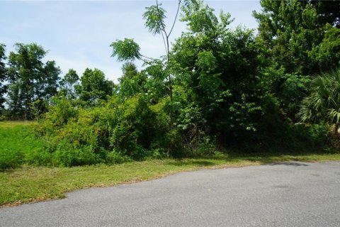 Land in Howey-in-the-Hills, Florida № 2142831 - photo 2