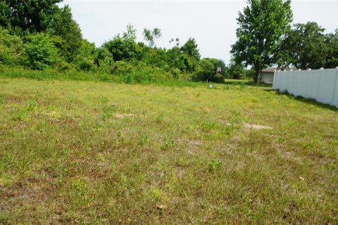 Land in Howey-in-the-Hills, Florida № 2142831 - photo 3
