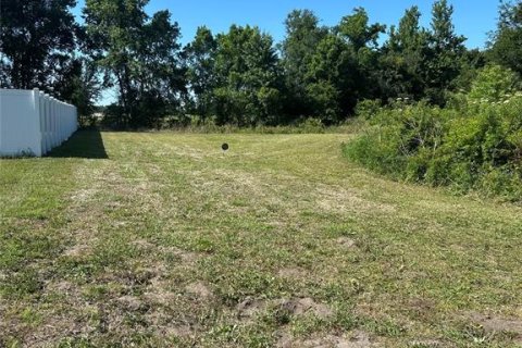 Land in Howey-in-the-Hills, Florida № 2142831 - photo 19