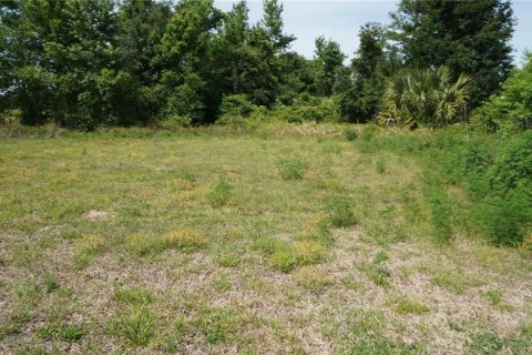 Land in Howey-in-the-Hills, Florida № 2142831 - photo 7