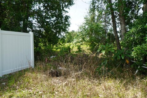 Land in Howey-in-the-Hills, Florida № 2142831 - photo 5