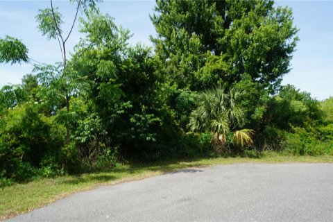 Land in Howey-in-the-Hills, Florida № 2142831 - photo 11