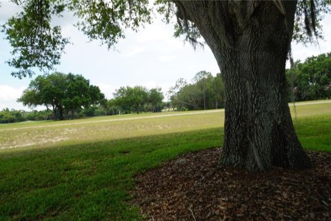 Land in Howey-in-the-Hills, Florida № 2142831 - photo 15