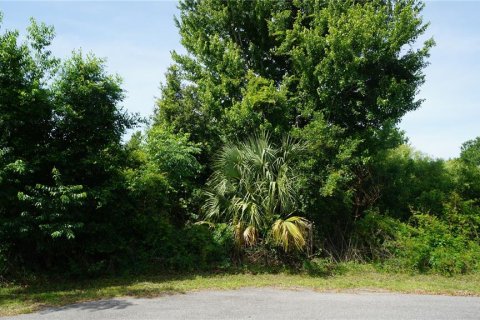 Land in Howey-in-the-Hills, Florida № 2142831 - photo 10