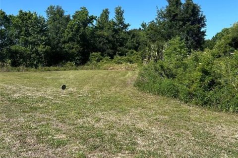 Land in Howey-in-the-Hills, Florida № 2142831 - photo 18