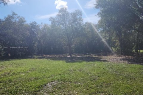 Купить коммерческую недвижимость в Окичоби, Флорида № 2013718 - фото 4