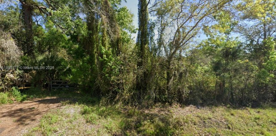 Коммерческая недвижимость в Окичоби, Флорида № 2013718