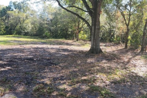 Купить коммерческую недвижимость в Окичоби, Флорида № 2013718 - фото 5