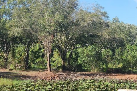 Купить коммерческую недвижимость в Окичоби, Флорида № 2013718 - фото 2