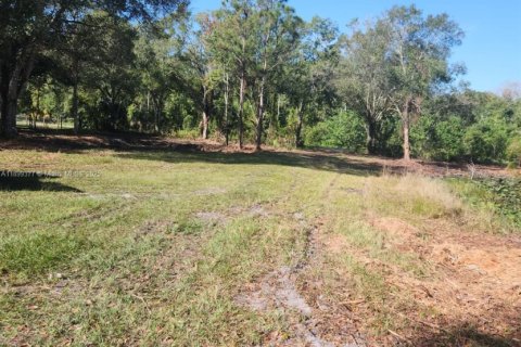 Купить коммерческую недвижимость в Окичоби, Флорида № 2013718 - фото 6