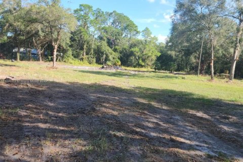 Купить коммерческую недвижимость в Окичоби, Флорида № 2013718 - фото 7