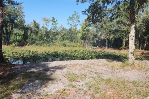 Купить коммерческую недвижимость в Окичоби, Флорида № 2013718 - фото 3