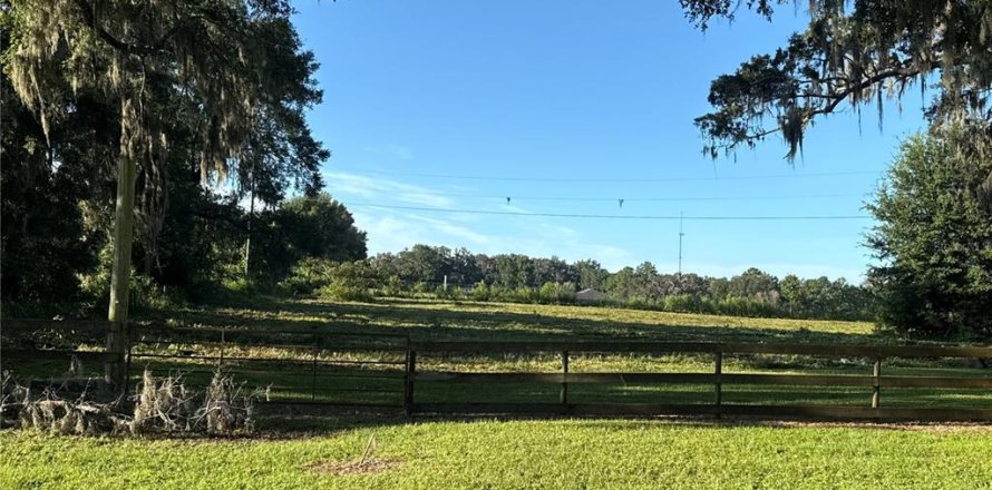 Terrain à Belleview, Floride № 1911797