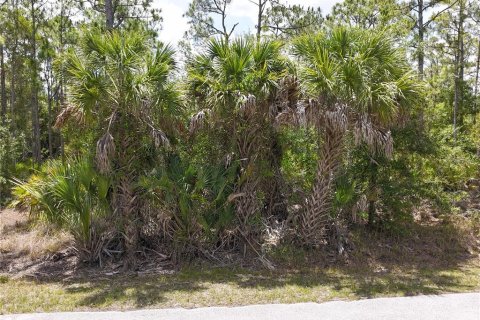 Land in Punta Gorda, Florida № 2161575