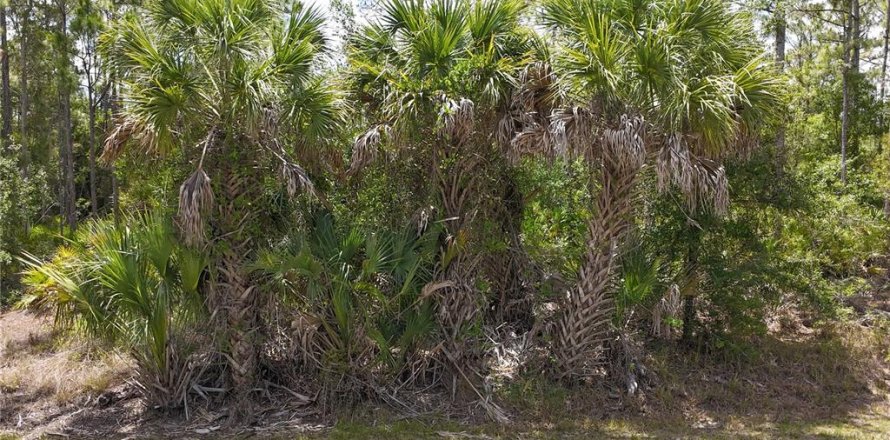 Land in Punta Gorda, Florida № 2161575