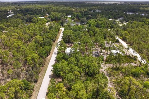 Land in Punta Gorda, Florida № 2161575 - photo 8