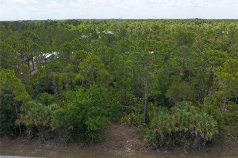 Land in Punta Gorda, Florida № 2161575 - photo 6