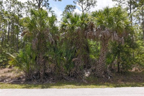 Land in Punta Gorda, Florida № 2161575 - photo 12