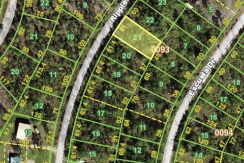 Land in Punta Gorda, Florida № 2161575 - photo 2