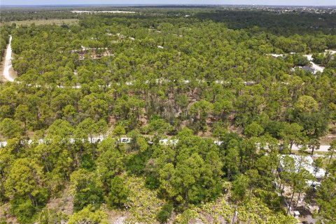 Land in Punta Gorda, Florida № 2161575 - photo 5