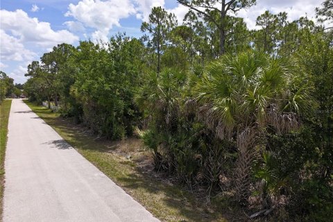 Land in Punta Gorda, Florida № 2161575 - photo 4