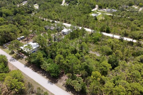 Land in Punta Gorda, Florida № 2161575 - photo 3