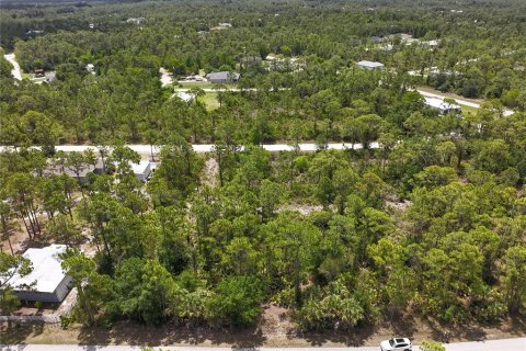 Land in Punta Gorda, Florida № 2161575 - photo 7