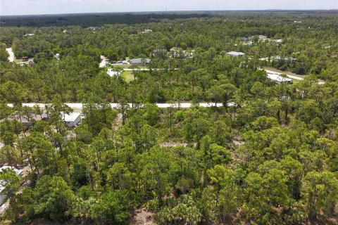 Land in Punta Gorda, Florida № 2161575 - photo 11