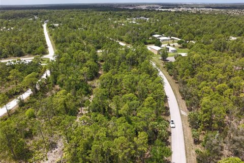 Land in Punta Gorda, Florida № 2161575 - photo 9