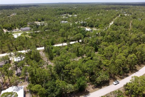 Land in Punta Gorda, Florida № 2161575 - photo 10