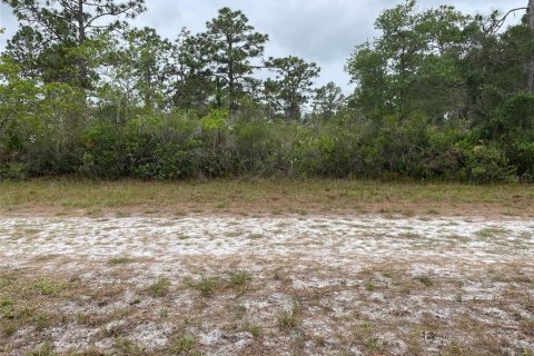 Land in Indian lake estates, Florida № 2195534 - photo 5