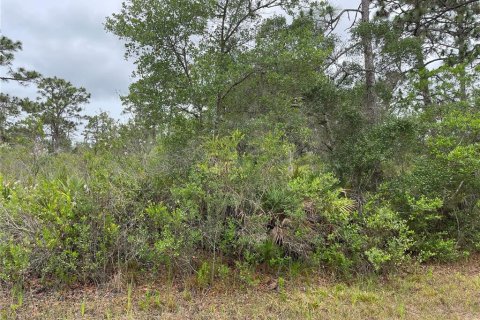 Land in Indian lake estates, Florida № 2195534 - photo 4