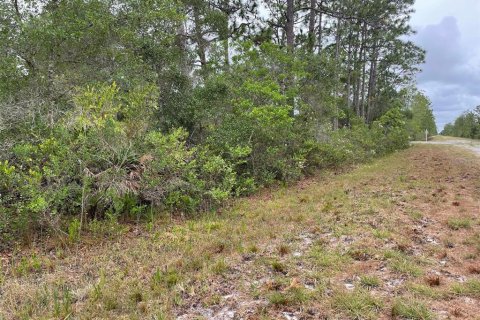 Land in Indian lake estates, Florida № 2195534 - photo 7