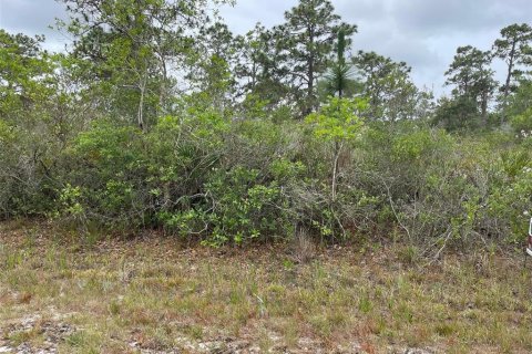 Land in Indian lake estates, Florida № 2195534