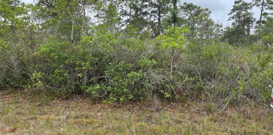 Land in Indian lake estates, Florida № 2195534