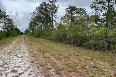 Land in Indian lake estates, Florida № 2195534 - photo 6