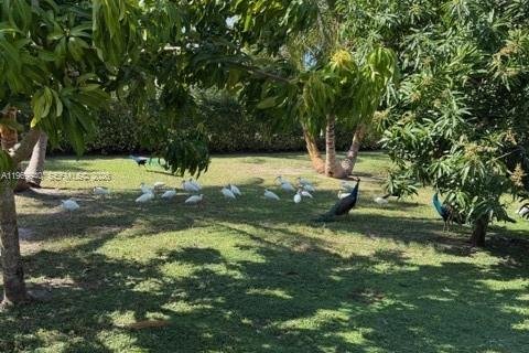 Casa en venta en Coral Gables, Florida, 4 dormitorios, 202.81 m2 № 2030892 - foto 2